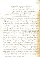 Anteprima di Bozza del Decreto di erezione dell'Associazione dei Divoti di Maria Ausiliatrice. [All. copia della supplica di Don Bosco ms. da Don Berto.] - LC 1869 - MB IX, 604 e 607 -