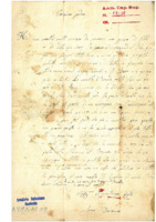 Anteprima di Lettera al padre con notizie di D. Bosco, dell'Oratorio e di un'associazione per l'assicurazione del colera. [All. copie ST, FT e trascrizione].